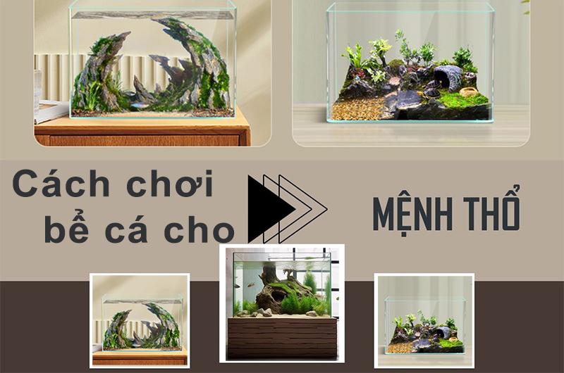 Đây là câu trả lời cho: Người mệnh thổ có chơi được bể cá không?