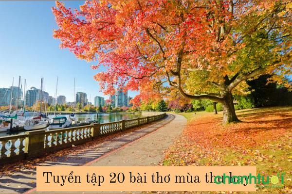 Tuyển tập 20 bài thơ về mùa thu hay và đặc sắc trong những ngày thu