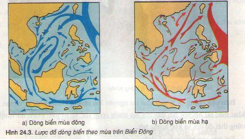 Đặc điểm chung của vùng biển Việt Nam