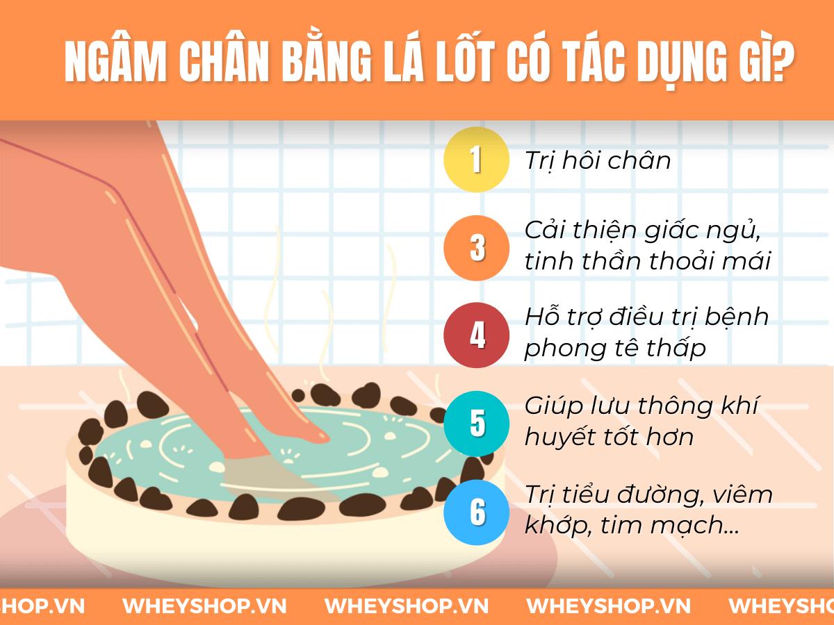 Ngâm chân bằng lá lốt có tác dụng gì? Hướng dẫn cách ngâm chân bằng lá lốt trị bệnh