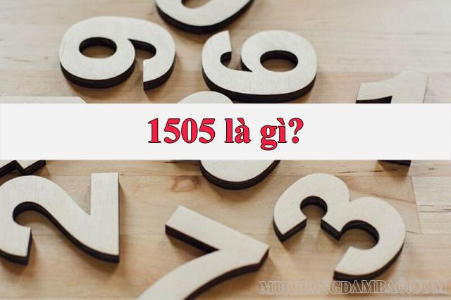 1505 là gì? Giải mã các ý nghĩa xung quanh con số này