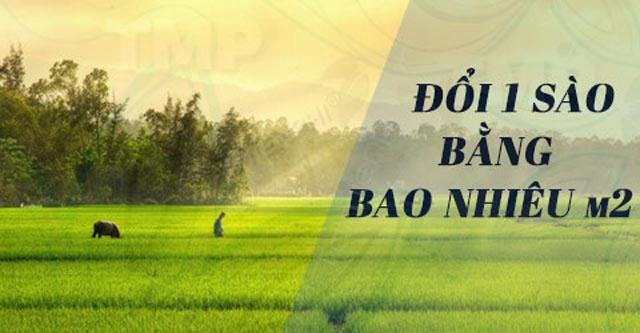 1 sào bằng bao nhiêu m2? (Giải đáp chính xác)