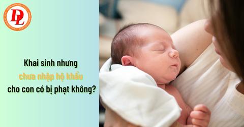 Khai sinh nhưng chưa nhập hộ khẩu cho con có bị phạt không?