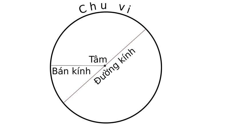 Hình tròn là gì? Tổng hợp kiến thức về hình tròn đầy đủ chi tiết nhất