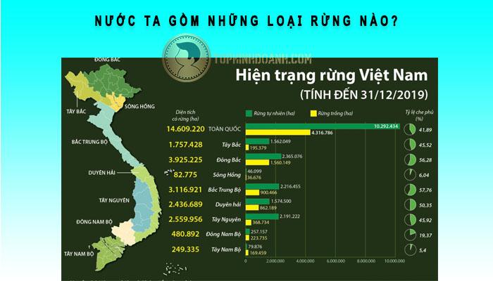 Nước ta gồm những loại rừng nào?