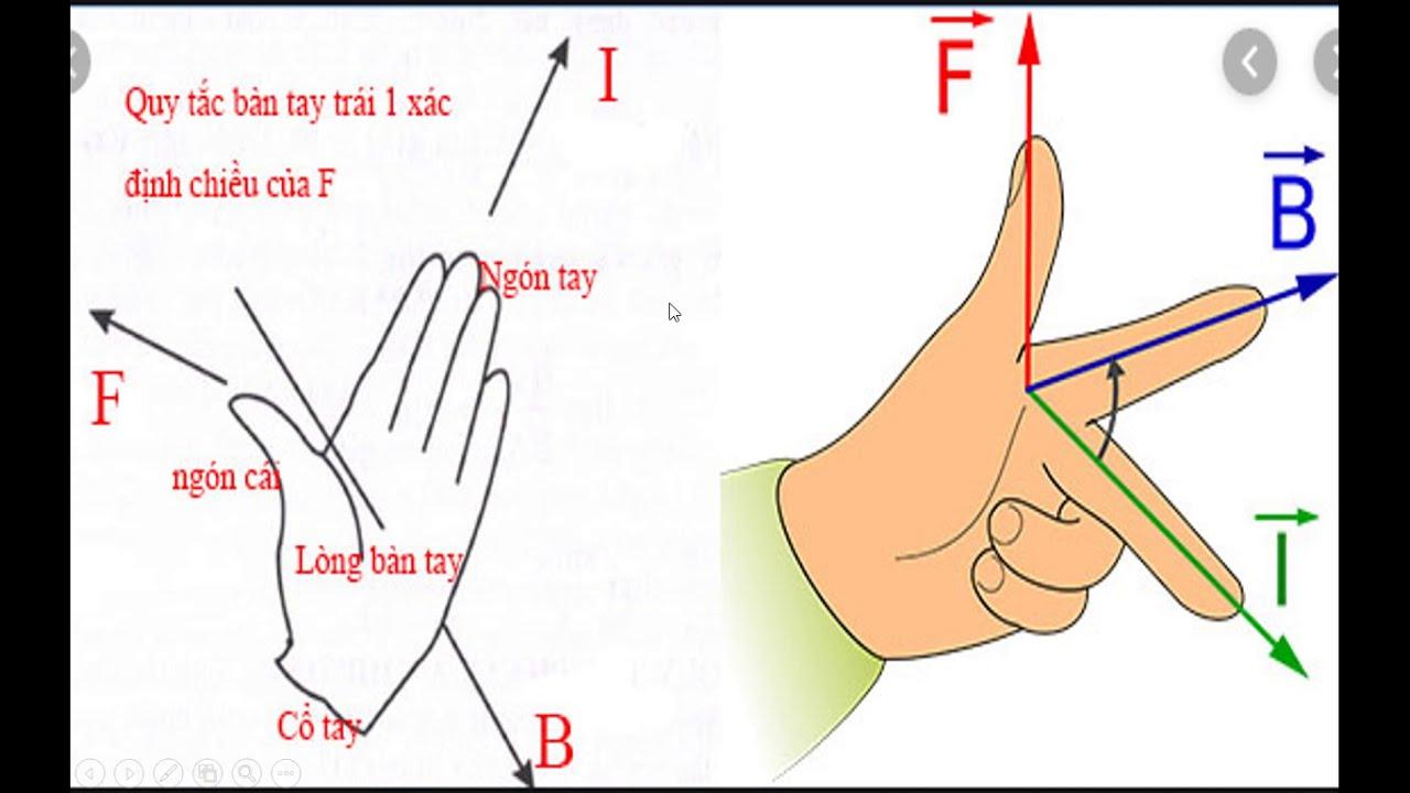 Quy tắc bàn tay trái là gì? Lý thuyết và bài tập