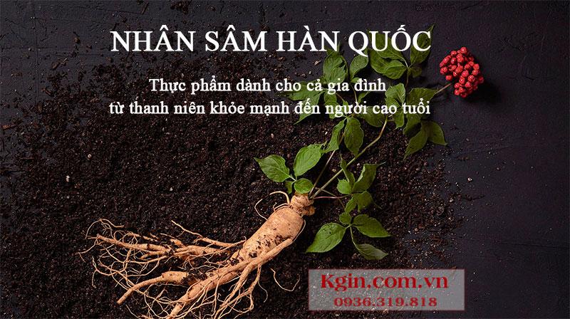 Nhân sâm Hàn Quốc có tác dụng gì? Cách sử dụng sâm hiệu quả