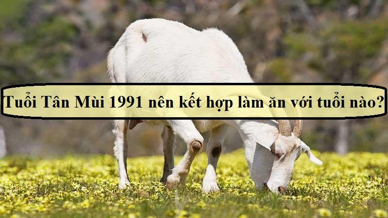 Tuổi Tân Mùi 1991 hợp làm ăn với tuổi nào phát tài phát lộc?