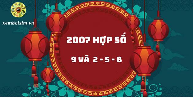 2007 hợp số nào cùng hướng dẫn dùng số hợp tuổi Đinh Hợi đúng cách?