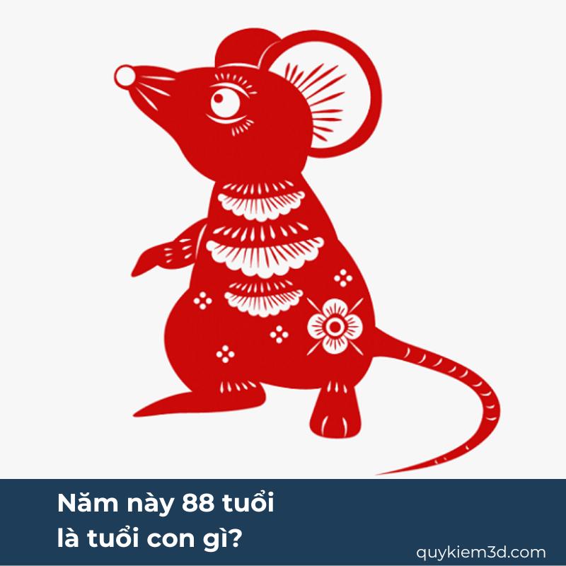 Năm nay 88 tuổi là tuổi con gì? Sinh năm 1988 bao nhiêu tuổi?