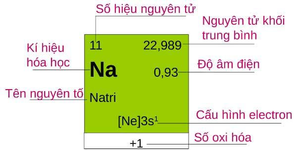 Số hiệu nguyên tử trong bảng tuần hoàn cho biết điều gì?