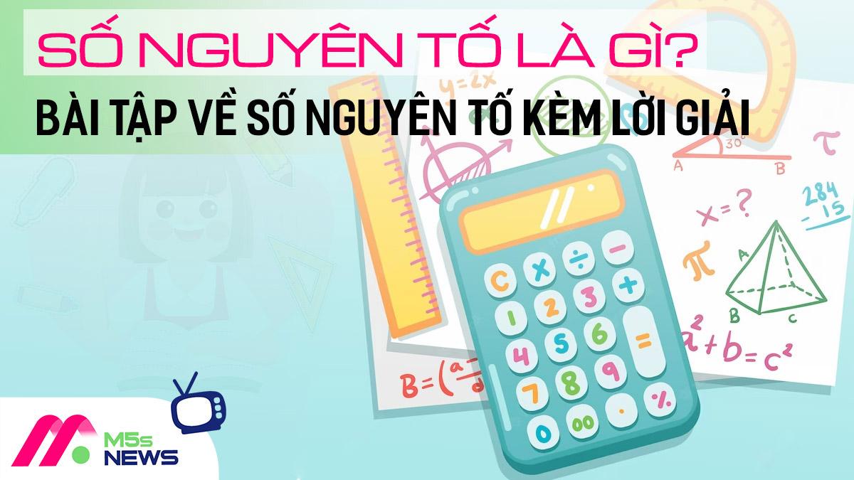 Số nguyên tố là gì? Bài tập về số nguyên tố kèm lời giải