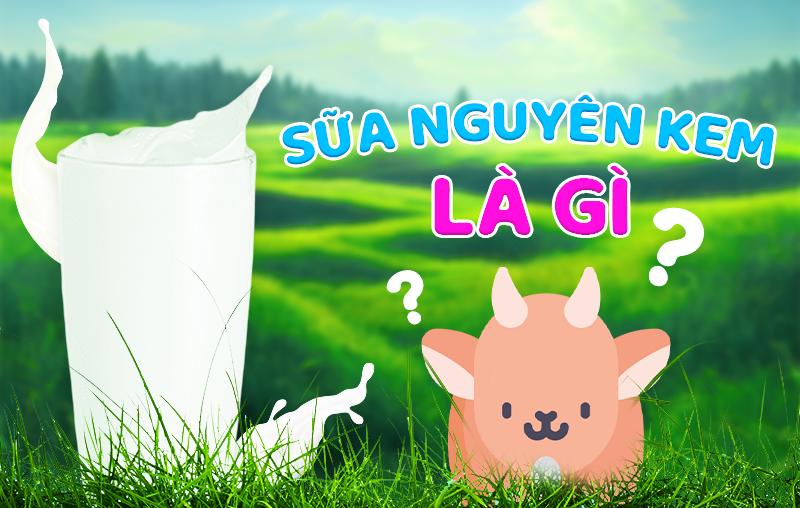 Sữa nguyên kem là gì? Có nên cho bé uống sữa nguyên kem không?