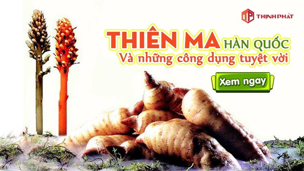 Thiên ma Hàn Quốc