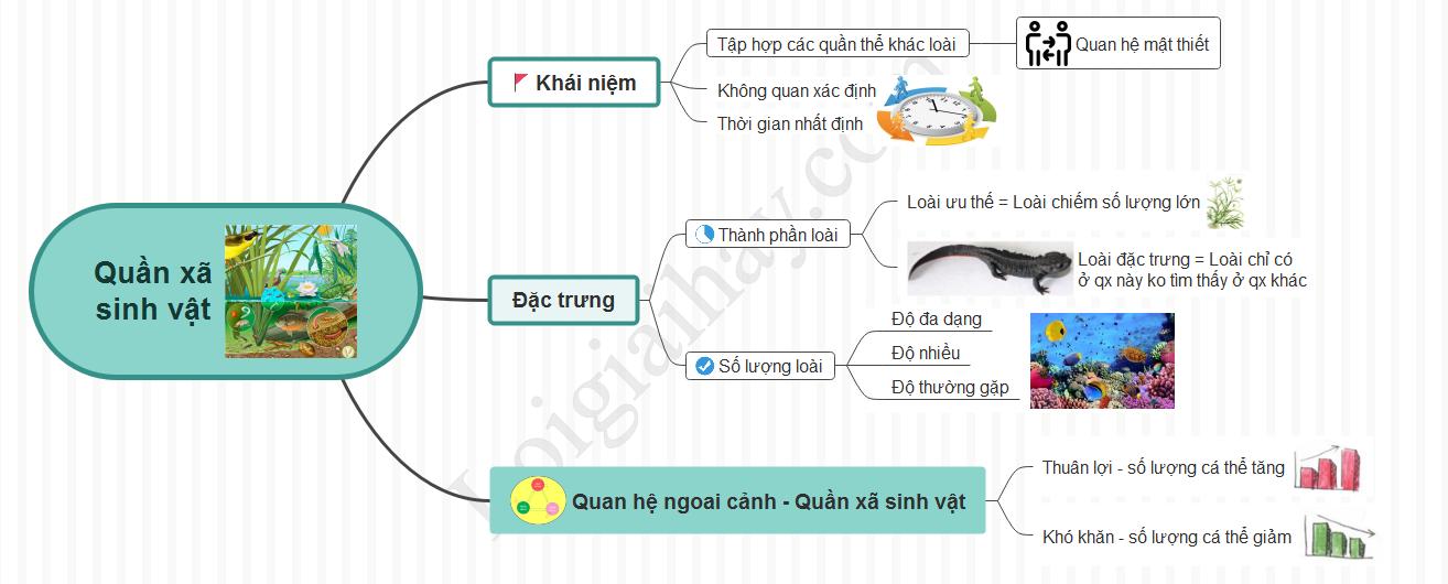 Lý thuyết Quần xã sinh vật Sinh học 9