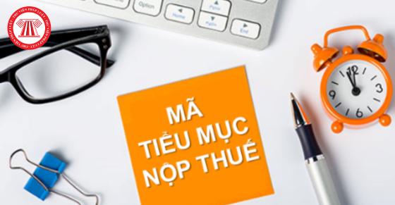 Tiểu mục 4944 là gì? Tiểu mục nộp thuế môn bài năm 2024