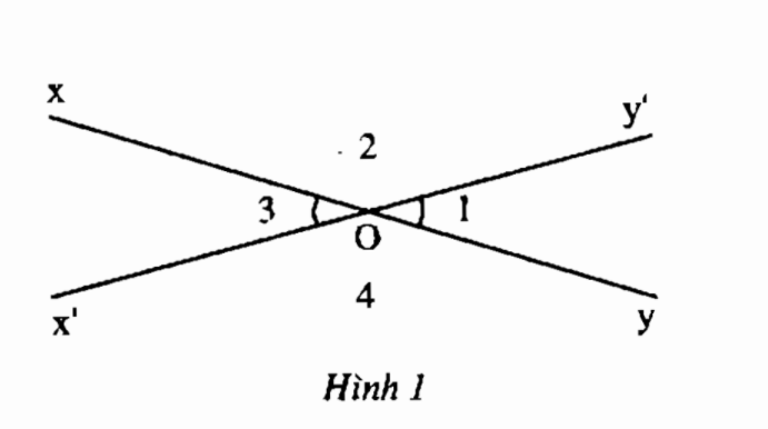 9+ Tính chất và bài tập hai góc đối đỉnh toán lớp 6