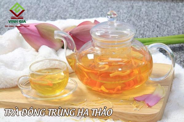 Trà đông trùng hạ thảo và những lợi ích tuyệt vời