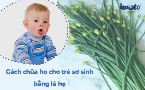 Cách chữa ho cho trẻ sơ sinh bằng lá hẹ – Thực hư trị ho cho bé bằng lá hẹ