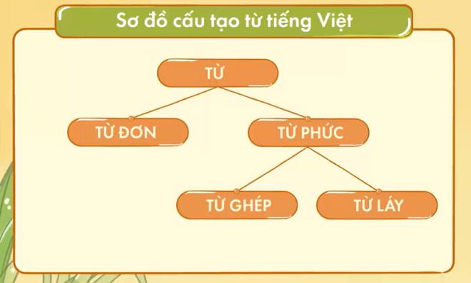 Từ đơn là gì, cách phân biệt từ đơn với từ láy, từ phức