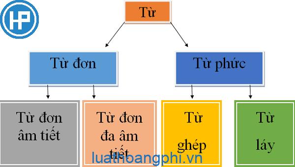 Từ đơn là gì? Từ phức là gì?