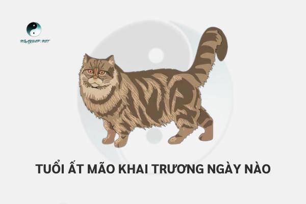 Hướng dẫn xem Tuổi Ất Mão khai trương ngày nào tốt 2023#Chi tiết nhất