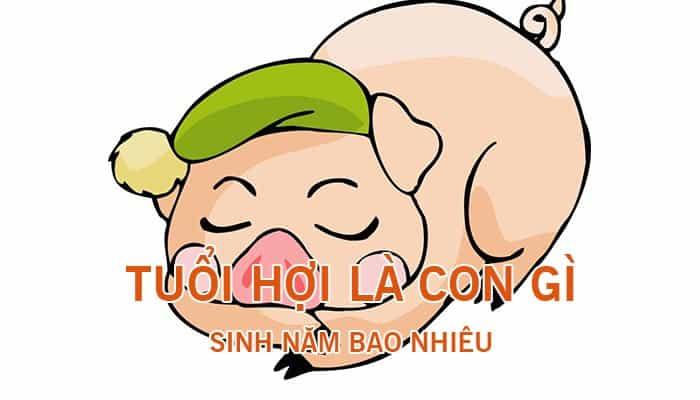 Tuổi Hợi sinh năm bao nhiêu? Mệnh gì?