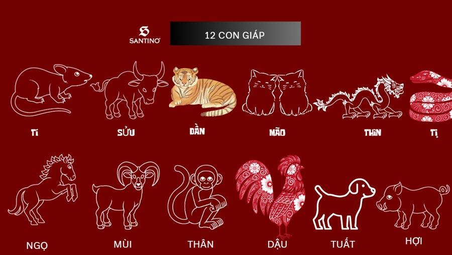 Gợi ý mùng 1 hợp màu gì 12 con giáp nhiều may mắn, tài lộc?