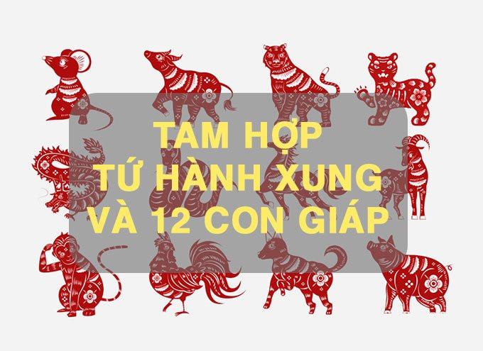 Tứ hành xung là gì? Đặc tính xung khắc của 12 con giáp