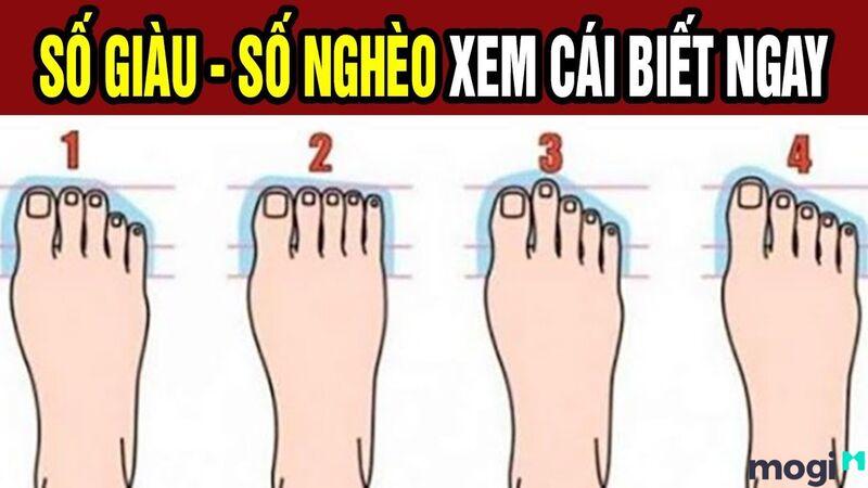 20+ Tướng Bàn Chân Nam Nữ Có Vận Mệnh Giàu Sang Phú Quý Cả Đời