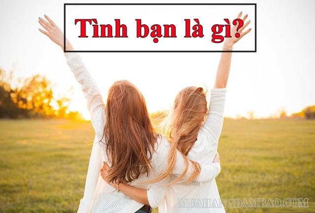 Tình bạn là gì? Biểu hiện và vai trò của tính bạn – Nghị luận