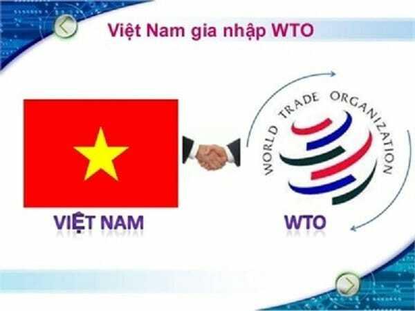 Việt Nam là thành viên chính thức của WTO vào năm nào?