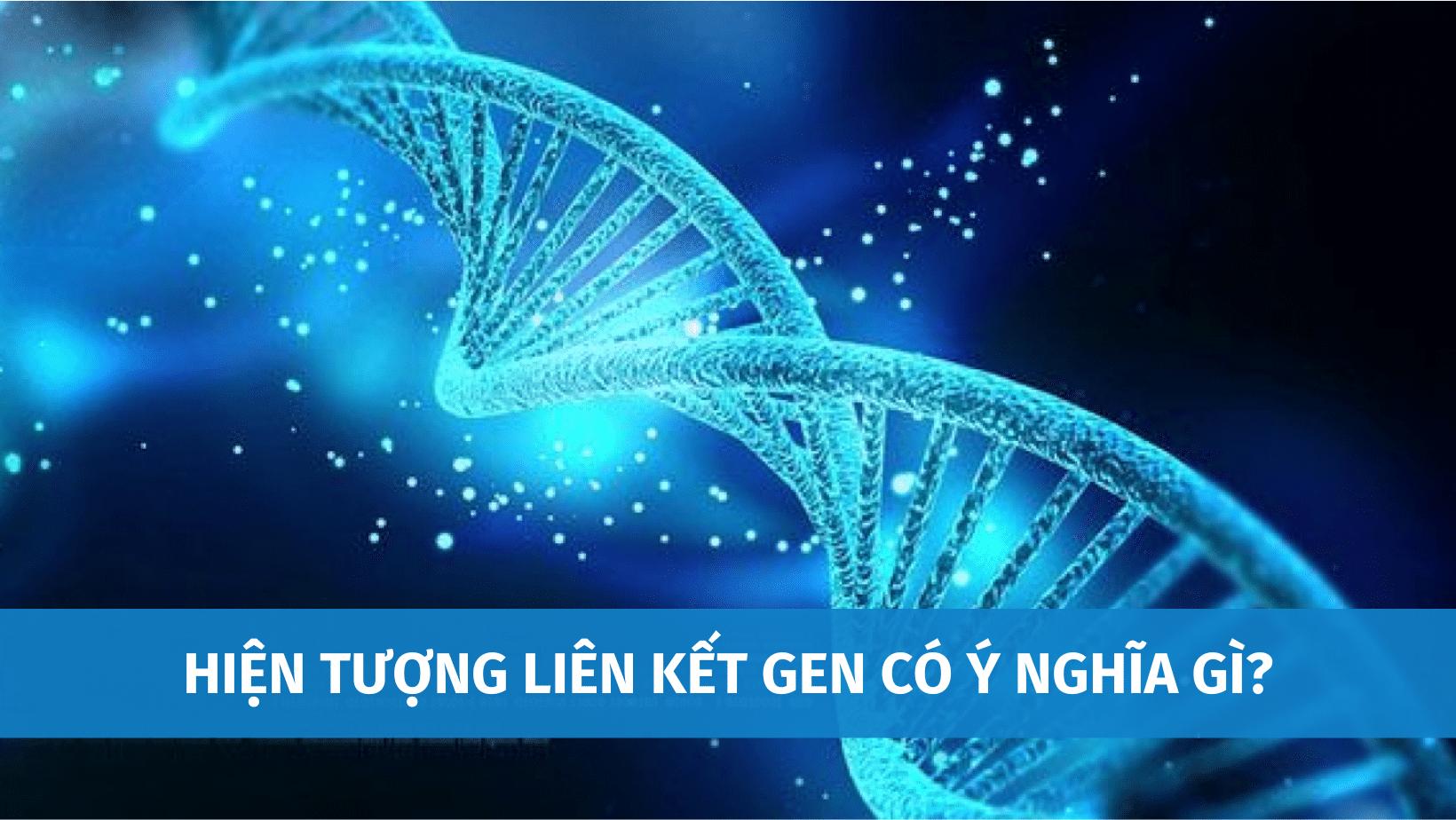 Hiện Tượng Liên Kết Gen Có Ý Nghĩa Như Thế Nào? Điểm Khác Nhau Giữa Liên Kết Gen Và Hoán Vị Gen