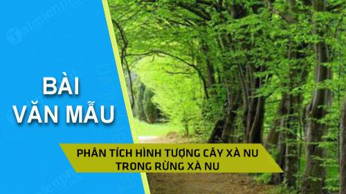 Đánh giá sâu hơn về hình tượng của cây xà nu trong tác phẩm Rừng xà nu