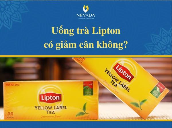 1 ly trà Lipton chanh túi lọc bao nhiêu calo? Uống trà lipton chanh túi lọc có giảm cân không? Câu trả lời chi tiết nhất