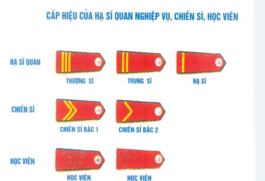 4 sao 1 gạch là cấp gì?