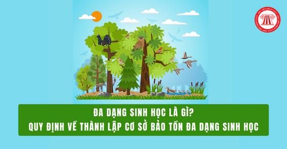 Đa dạng sinh học là gì? Quy định về thành lập cơ sở bảo tồn đa dạng sinh học