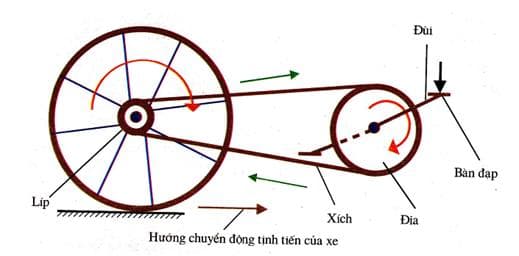 Tìm hiểu cấu tạo xe đạp và vai trò của từng bộ phận