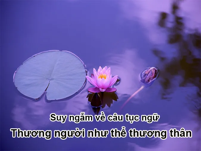 Giải thích ý nghĩa câu tục ngữ 'Thương người như thể thương thân'