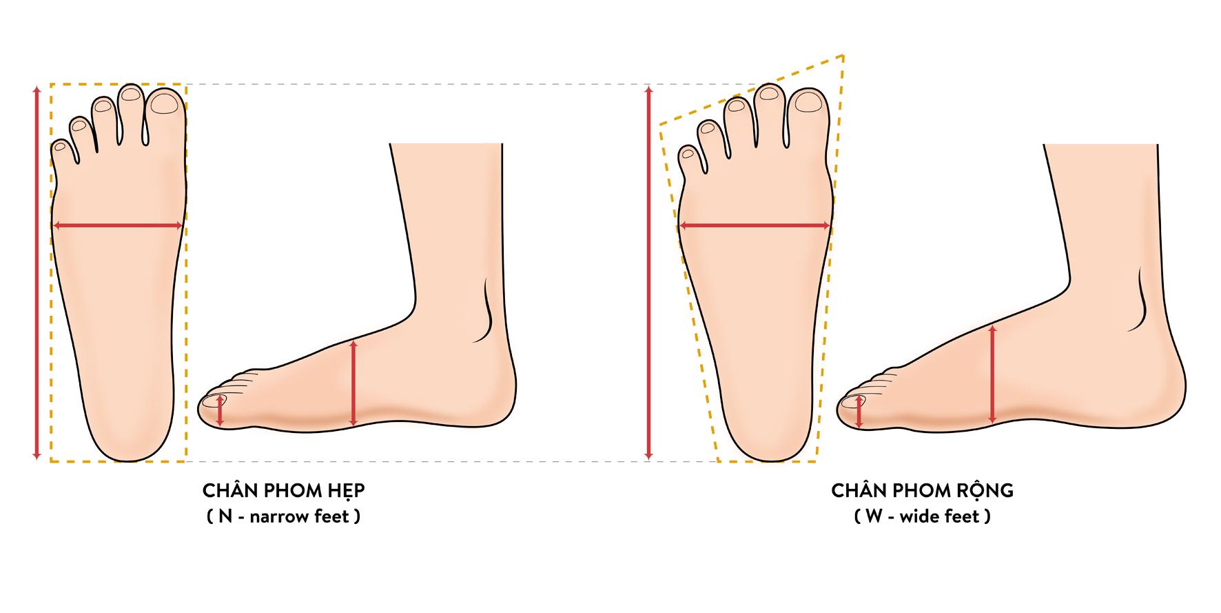 Bàn chân 25cm đi giày size bao nhiêu thì chuẩn?