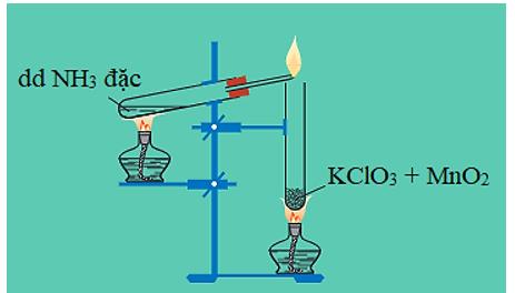 Chất có thể dùng làm khô khí NH 3  là