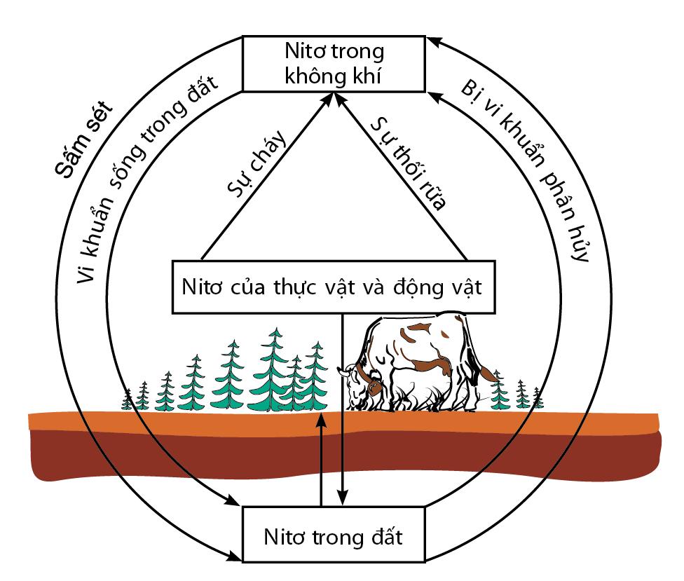 Củng cố kiến thức