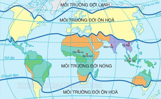 Đới nóng có mấy kiểu môi trường chính? Vị trí, đặc điểm đới nóng