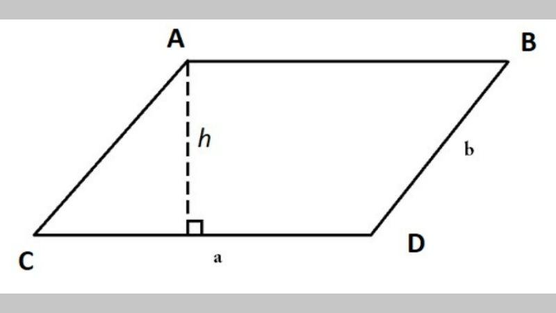 Công thức tính diện tích hình bình hành chính xác nhất 2023 và bài tập