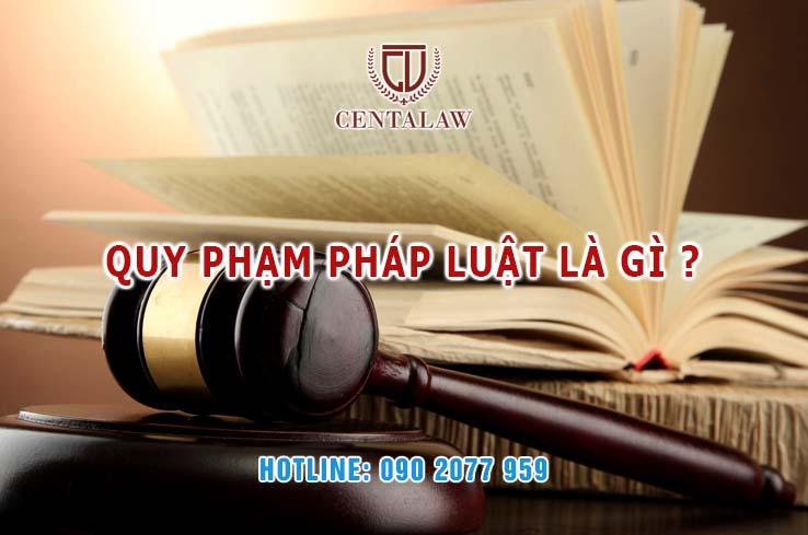 Quy phạm pháp luật là gì? Đặc điểm và các yếu tố cấu thành QPPL