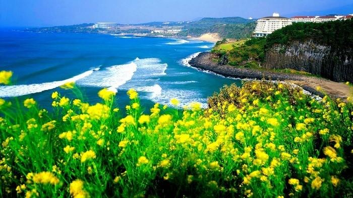 Điều kiện du lịch đảo Jeju không cần visa mới nhất mà bạn nên biết