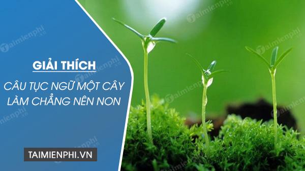 Giải mã ý nghĩa của câu tục ngữ Một cây làm chẳng nên non