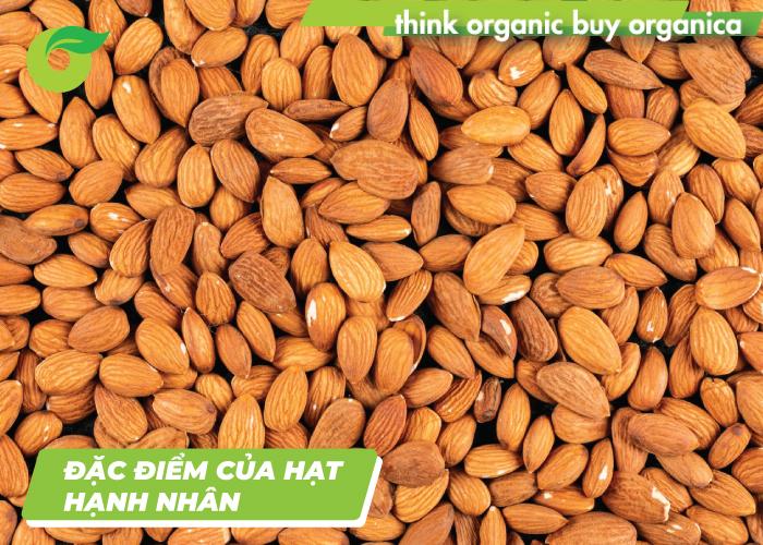 Hạt hạnh nhân có tác dụng gì? Mỗi ngày nên ăn bao nhiêu hạt hạnh nhân?