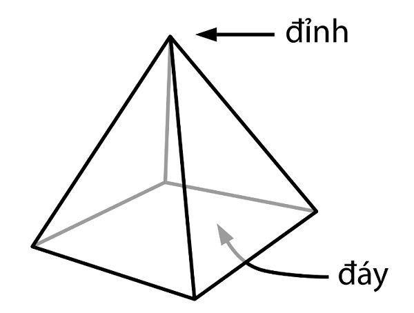 Hình chóp đều là gì? Tổng hợp kiến thức lý thuyết và ví dụ