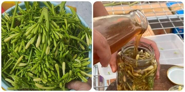 Hoa đu đủ đực ngâm mật ong trị bệnh gì?